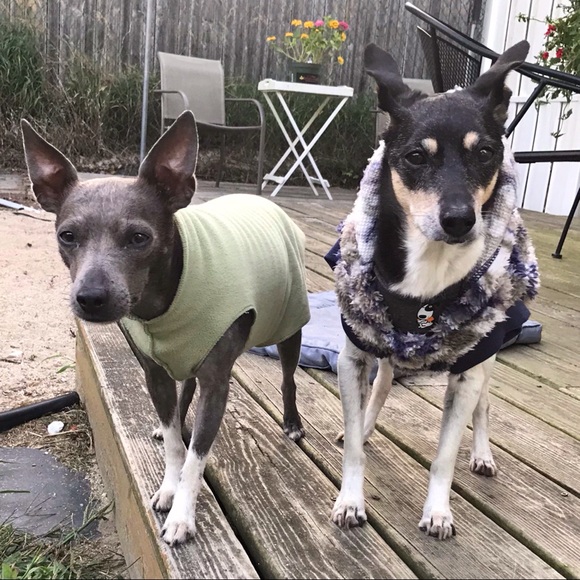 Meet your Posher, Sarah - Picture 16 of 17